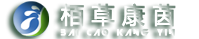 栢草康茵